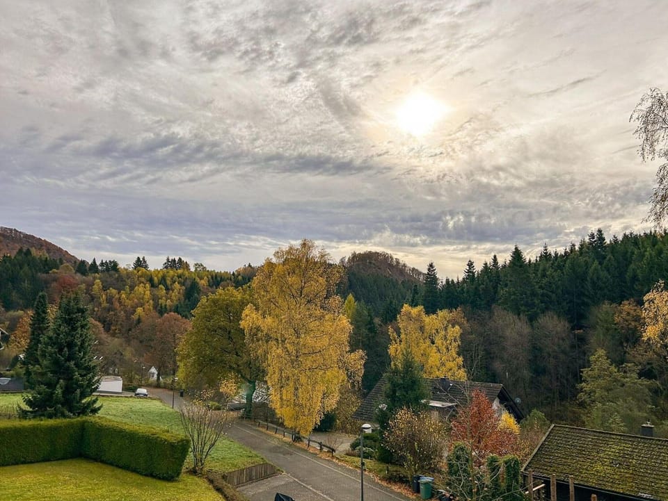 Apartment | View from property