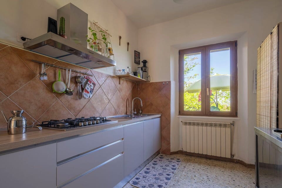 Autumn, Kitchen, Spring, Summer
