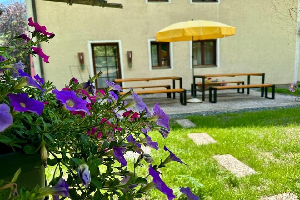 Garden [summer]