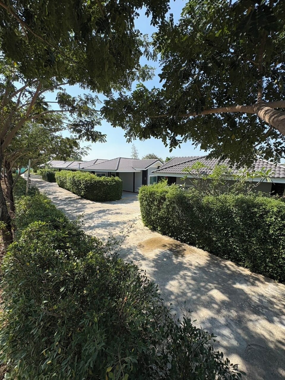 Family House, Patio, Park View | Terrace/patio