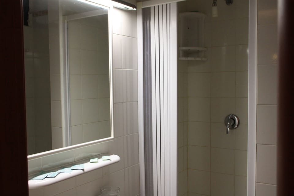 Shower, free toiletries, hair dryer, bidet