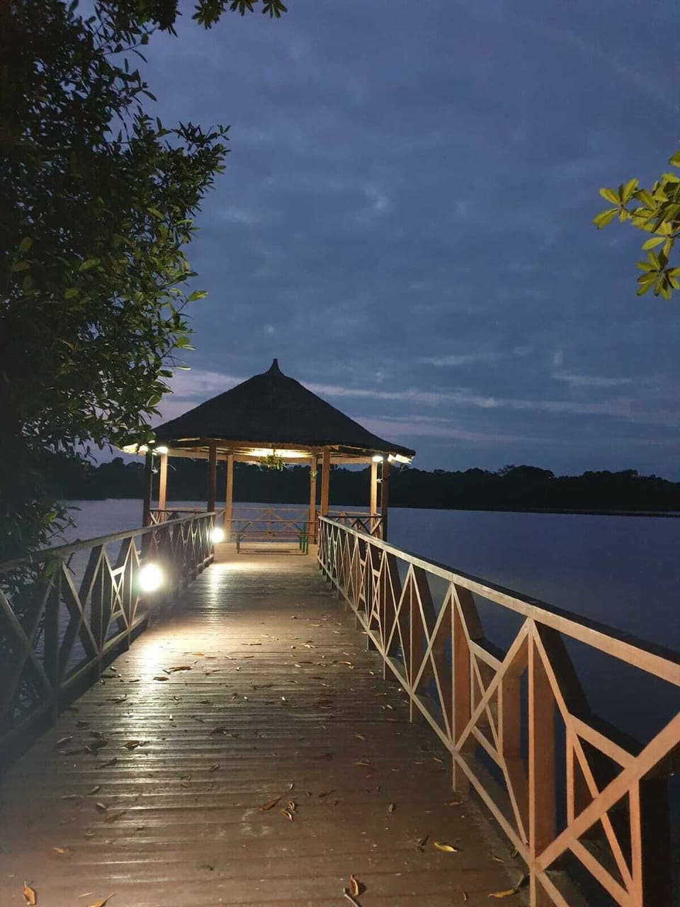 Miscellaneous