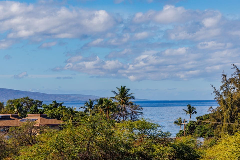Luxury Condo, Air conditioning, Beachside | Miscellaneous