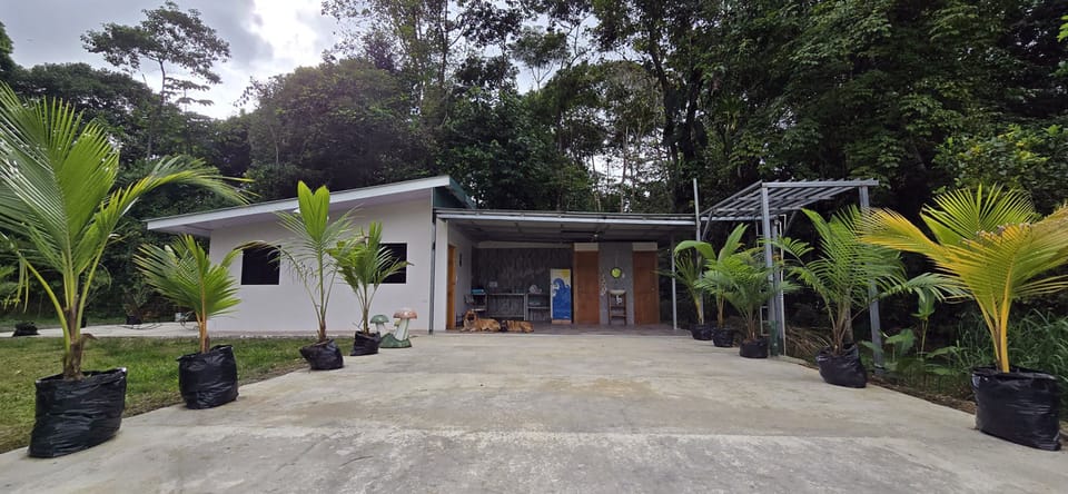 Yoga & lounge area