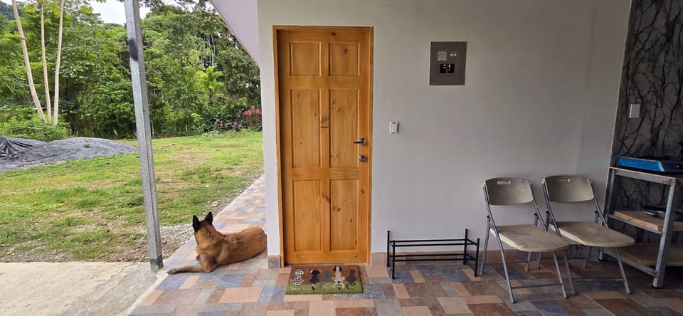 Bedroom entrance. dog not included :)