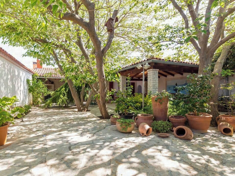 Flowerpot, Shrub, Shade, Garden, Door, Flagstone, Houseplant, Courtyard, Spring