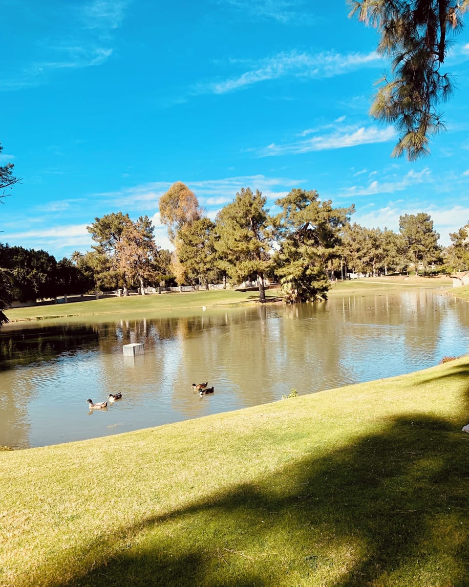  lake and golf course adjacent to condo