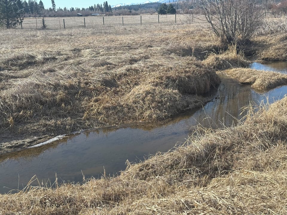 Sin Tin Tin Em Ska Creek runs though the property.  Great place to enjoy coffee.