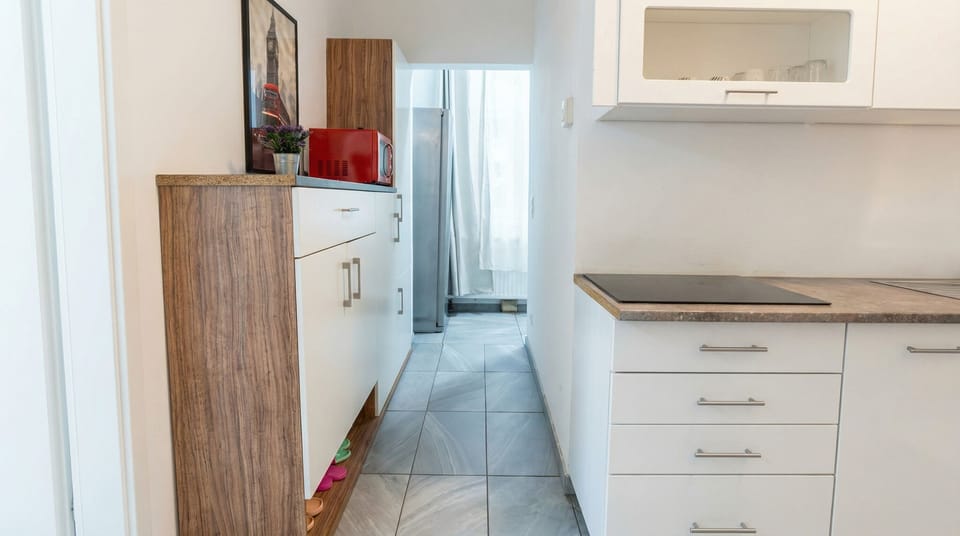 Basic Apartment | Private kitchen | Fridge, microwave, oven, stovetop