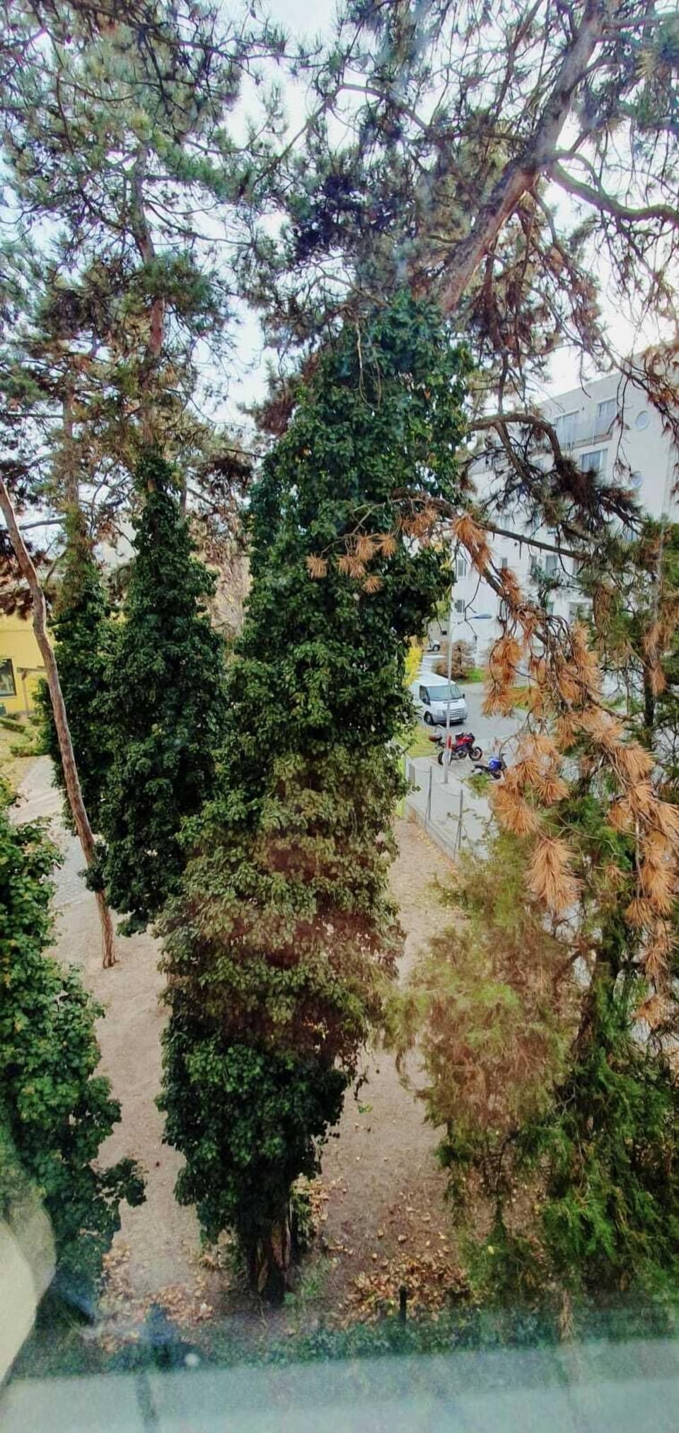 View from property