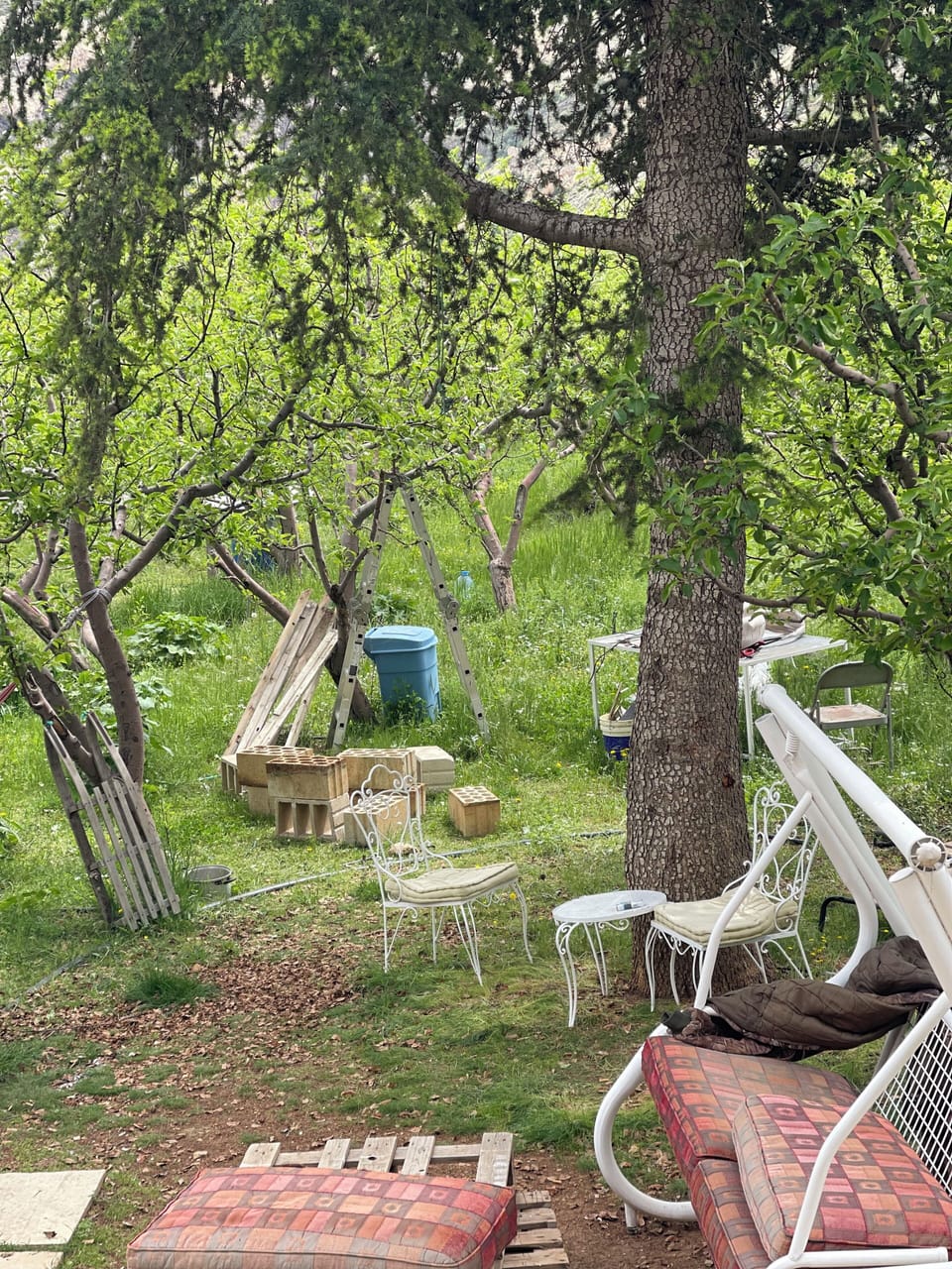 Property grounds