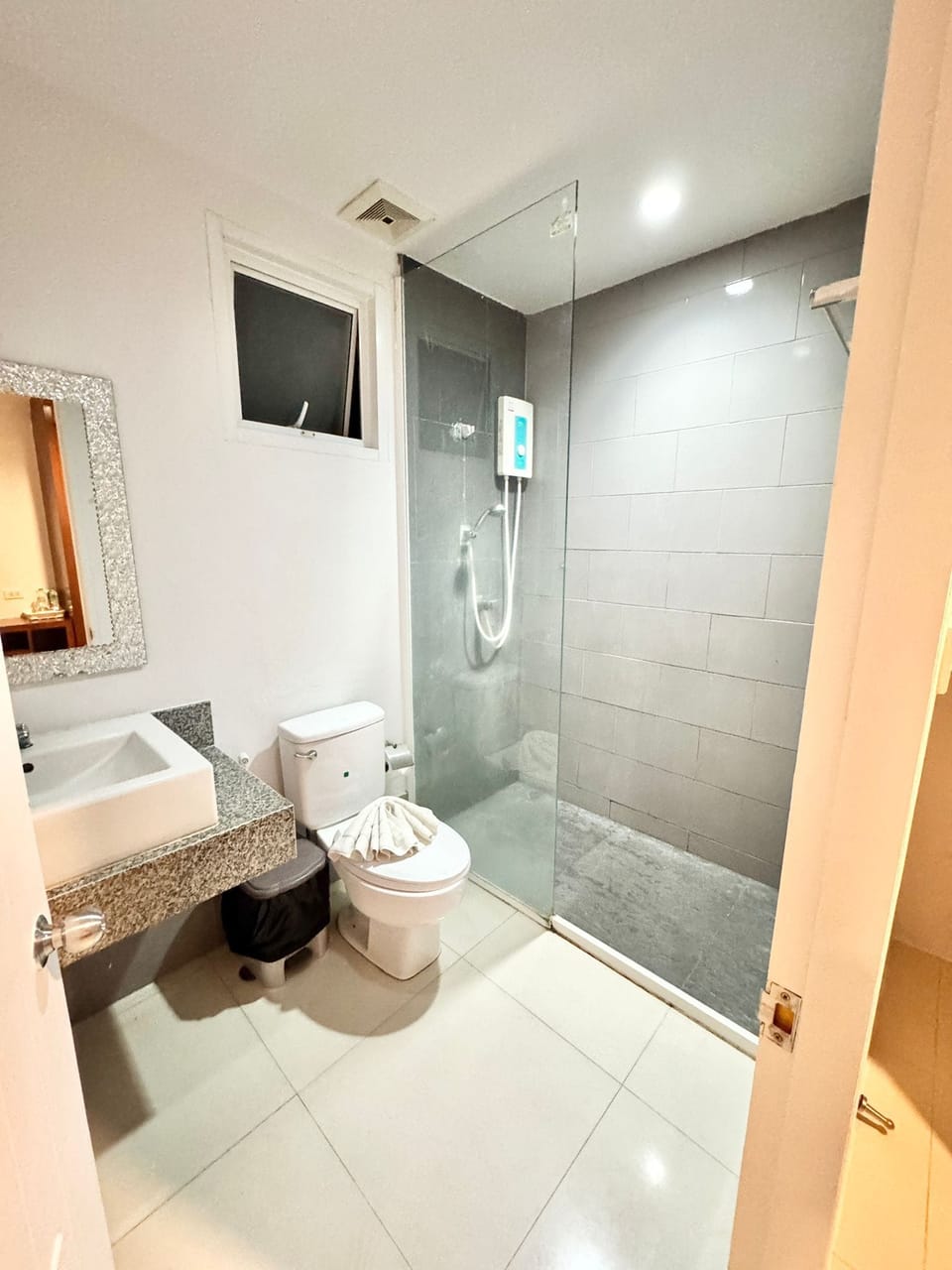Shower, hair dryer, bidet, towels