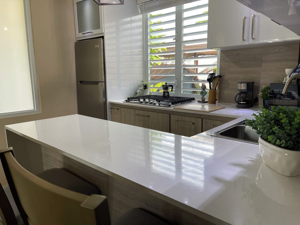 Unit 1: Full Kitchen