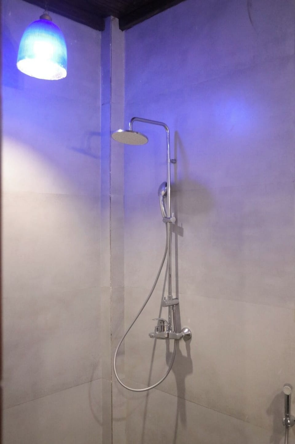 Executive Room | Bathroom | Shower, free toiletries, towels, soap