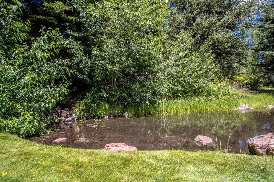Peaceful ponds throughout the complex