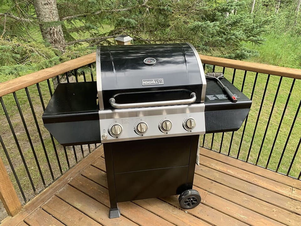 Barbeque
