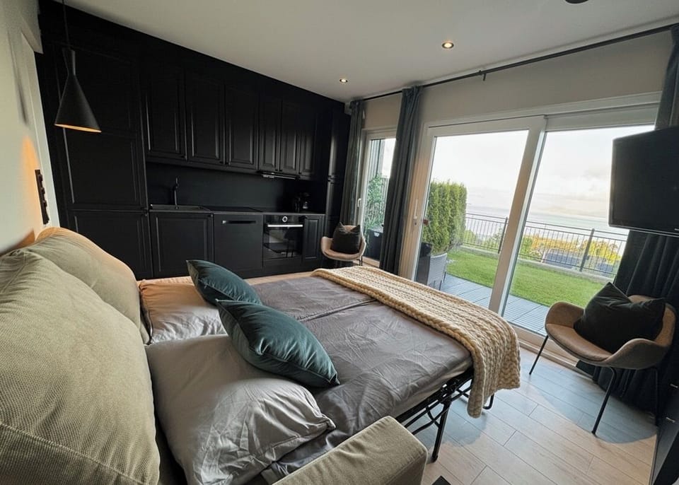Living room with sofa bed