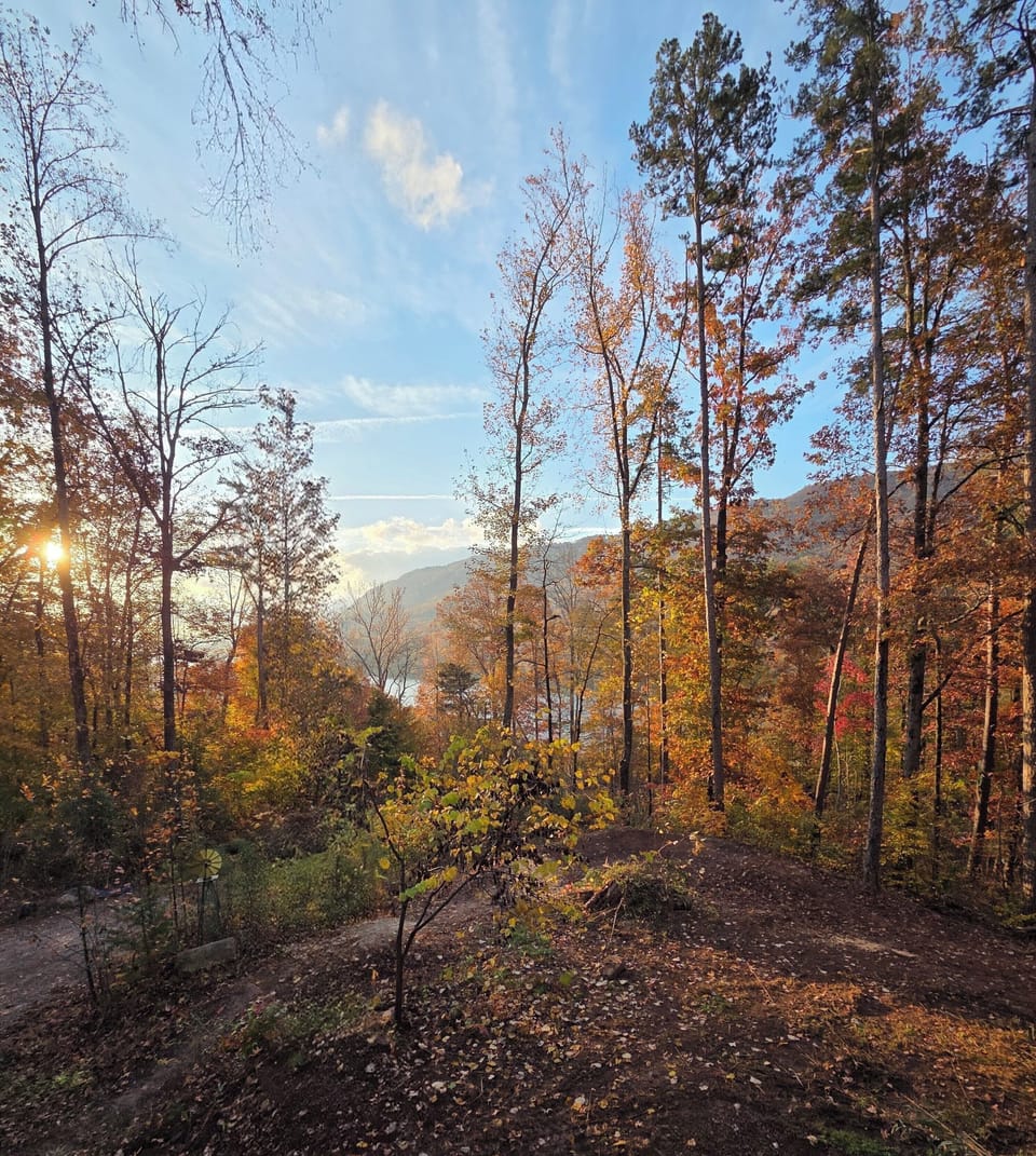 The Tennessee River Gorge is such a stunner and our views are not to be missed