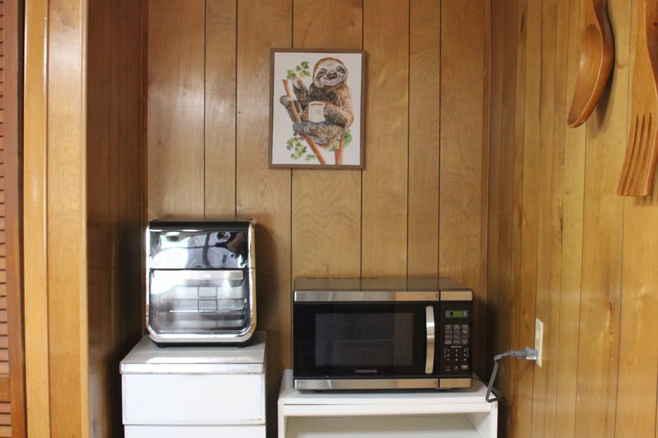 Air Fryer and microwave