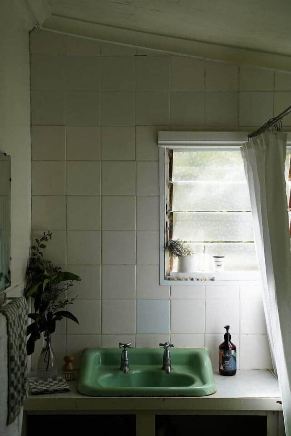 Photo by Elizabeth Campbell