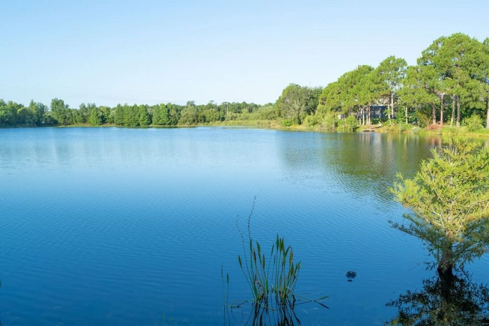 Lake view.