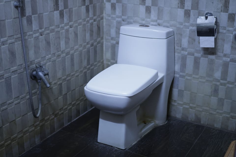 Deluxe Room | Bathroom | Shower, free toiletries, towels
