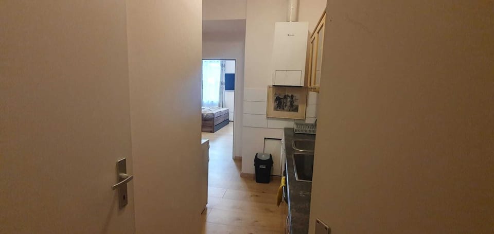 Basic Apartment | Private kitchen | Fridge, microwave, oven, stovetop