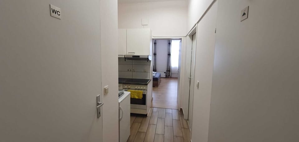 Basic Apartment | Private kitchen | Fridge, microwave, oven, stovetop
