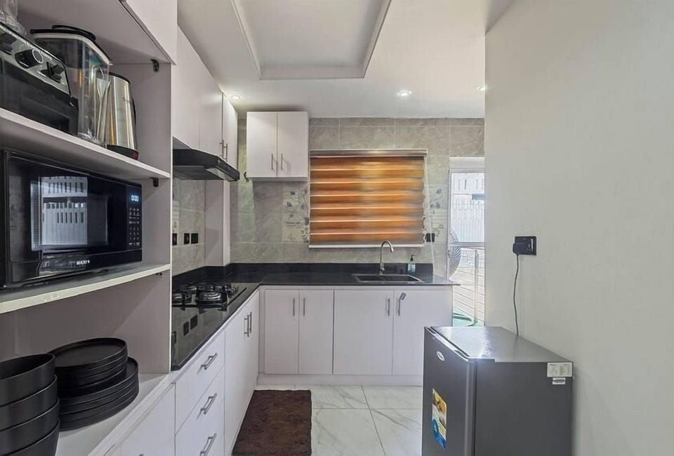 Family Apartment, Balcony, City View | Private kitchen | Fridge, microwave, oven, stovetop