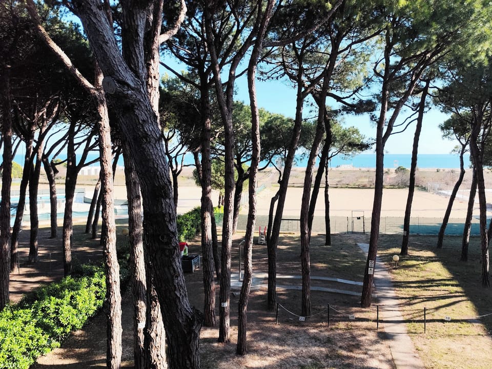 Apartment, 2 Bedrooms, Balcony, City View | Garden