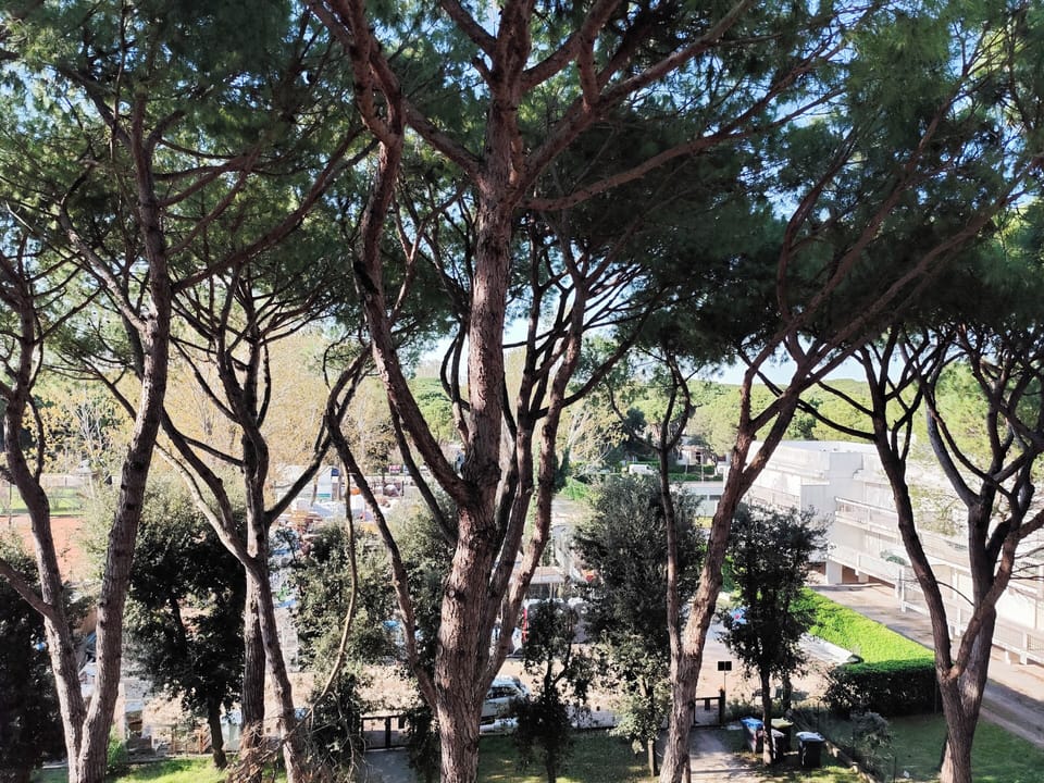 Apartment, 2 Bedrooms, Balcony, City View | Garden