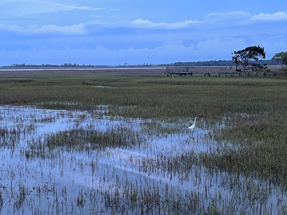 That view from the back deck! 