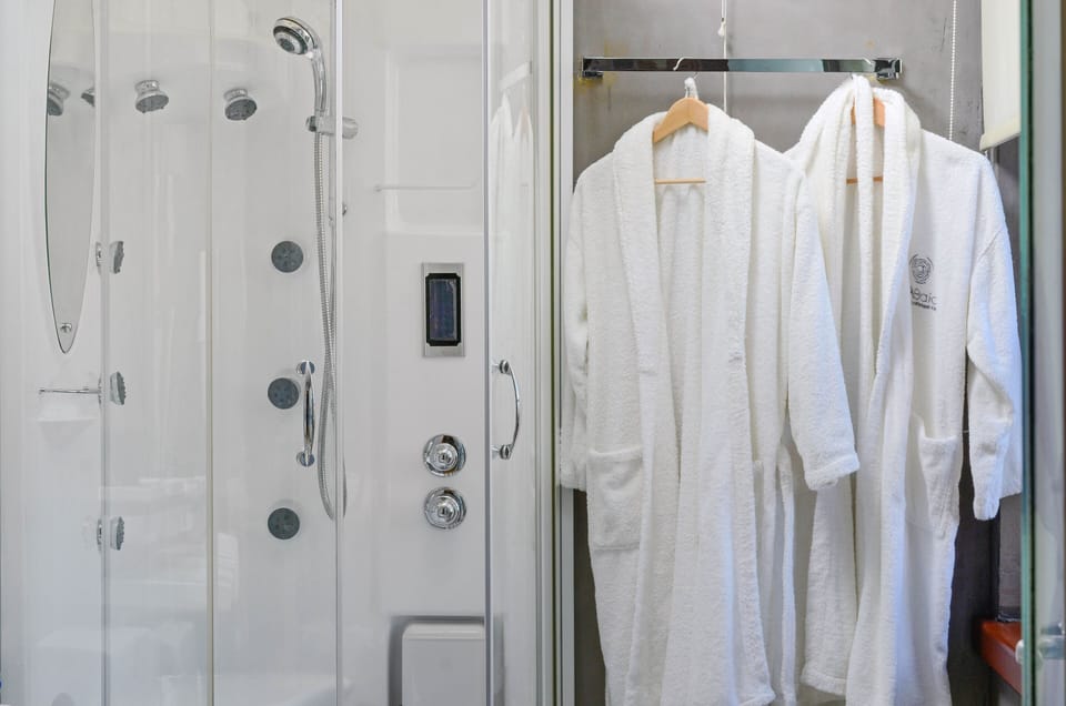Executive Suite, Fireplace, Mountain View | Bathroom shower