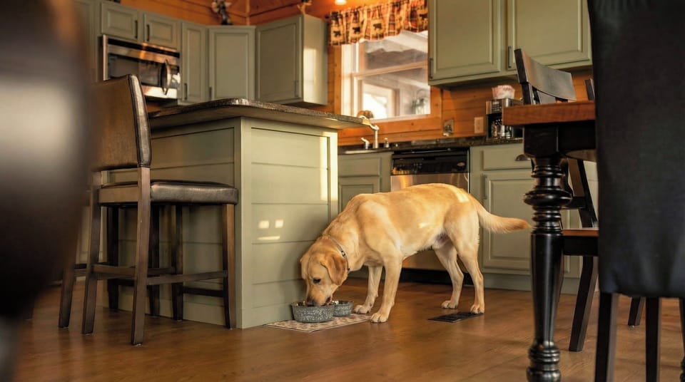 Thoughtfully designed kitchen perfect for slow mornings and hearty meals.