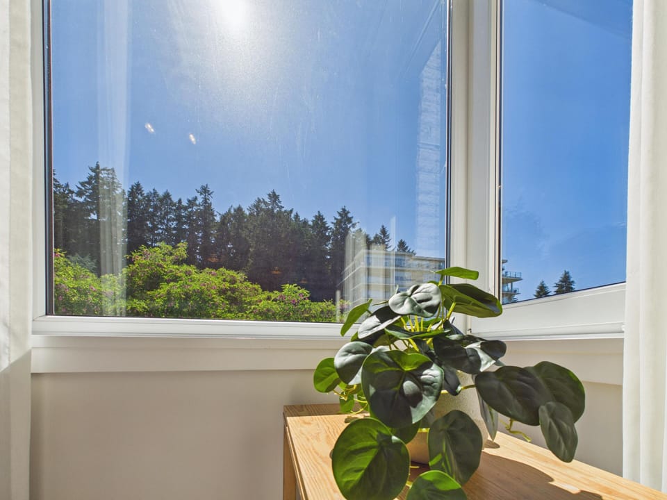 Window view detail overlooking surrounding lush greenery and mature treetop canopy.