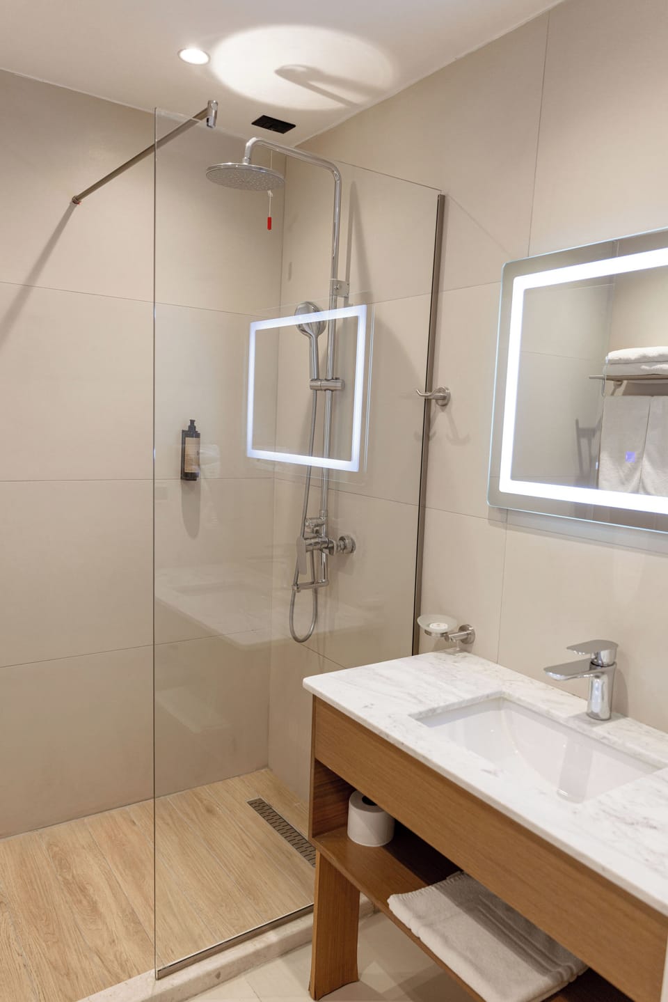 Classic Double Room | Bathroom | Shower, free toiletries, hair dryer, towels