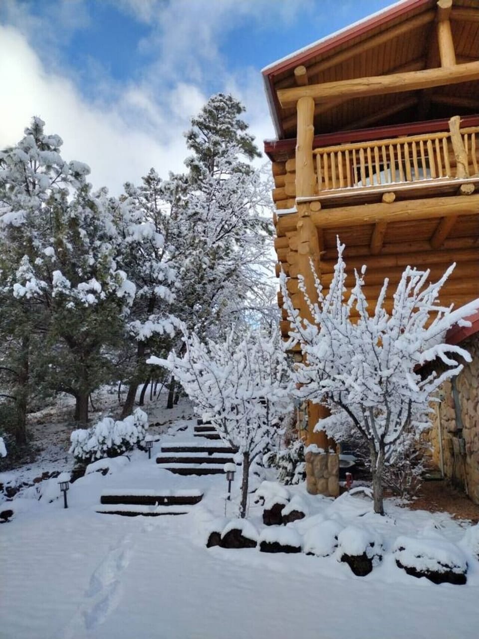 Winter Wonderland