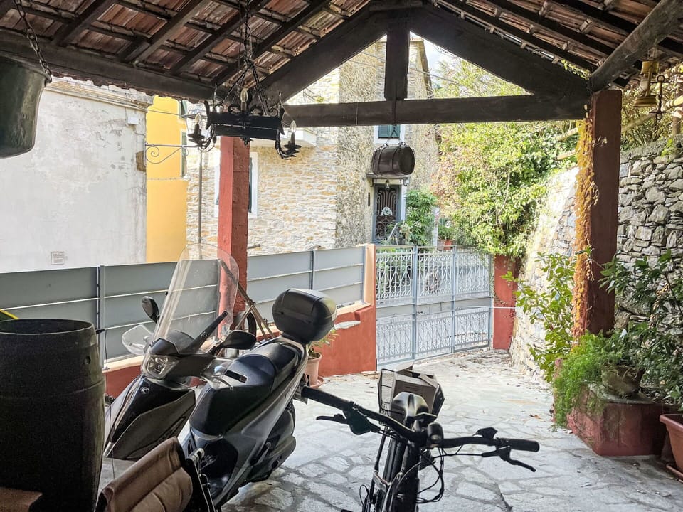 Flowerpot, Houseplant, Bicycle Wheel, Outdoor Structure