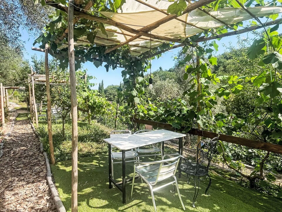 Shade, Garden, Outdoor Structure, Pergola, Backyard, Yard, Plantation, Eco Hotel, Outdoor Furniture