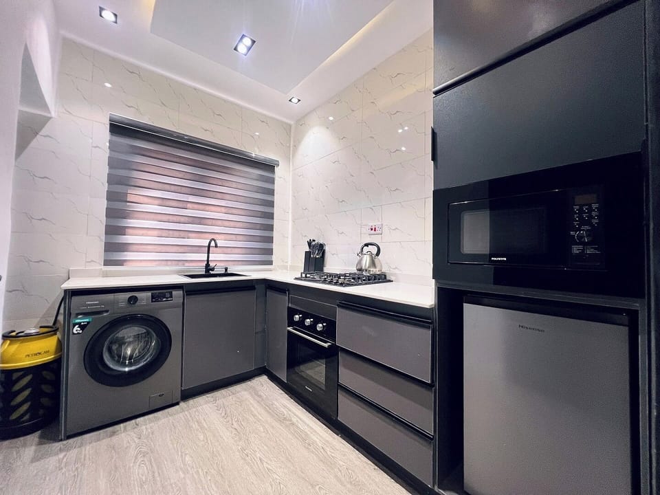 Standard Apartment, Balcony, City View | Private kitchen | Fridge, microwave, oven, stovetop