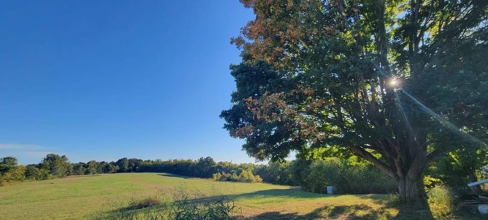 Beautiful Kentucky landscapes