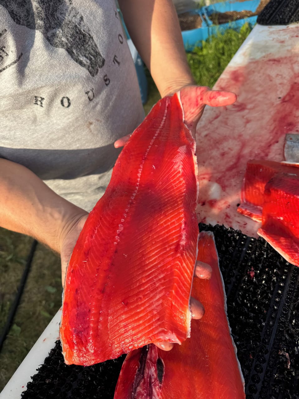 Beautiful Red (Sockeye) Salmon available right down the road