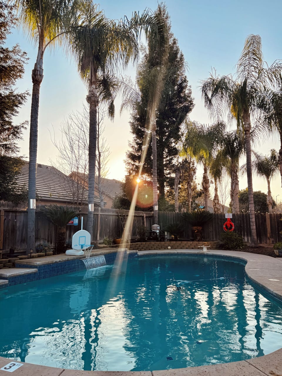 Backyard sunset views 