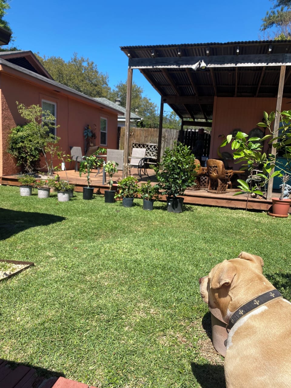 Property grounds