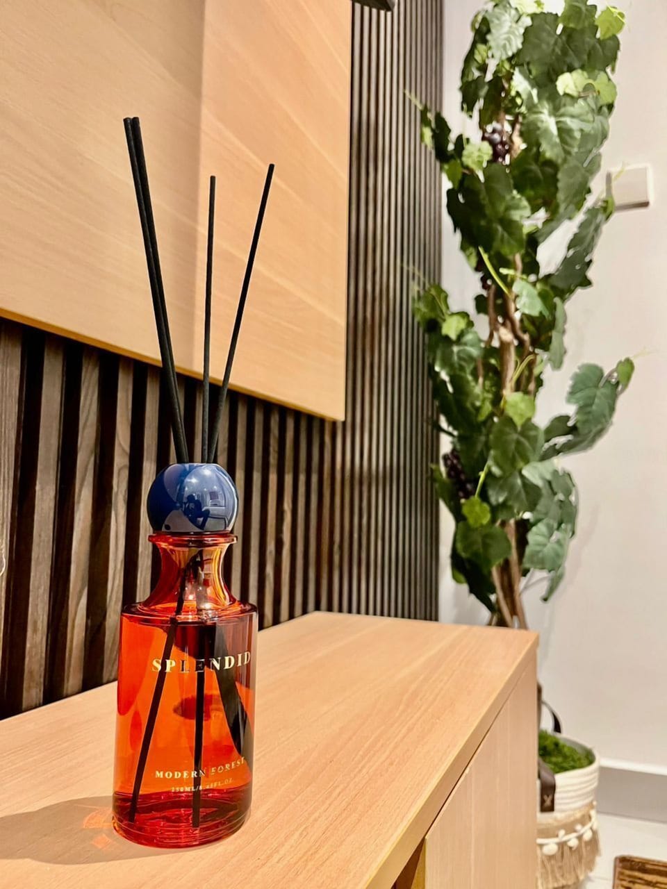 Comfort Studio, City View | Living area