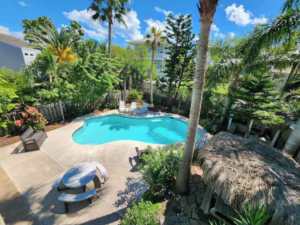 Take a dip in your private pool surrounded by swaying palms