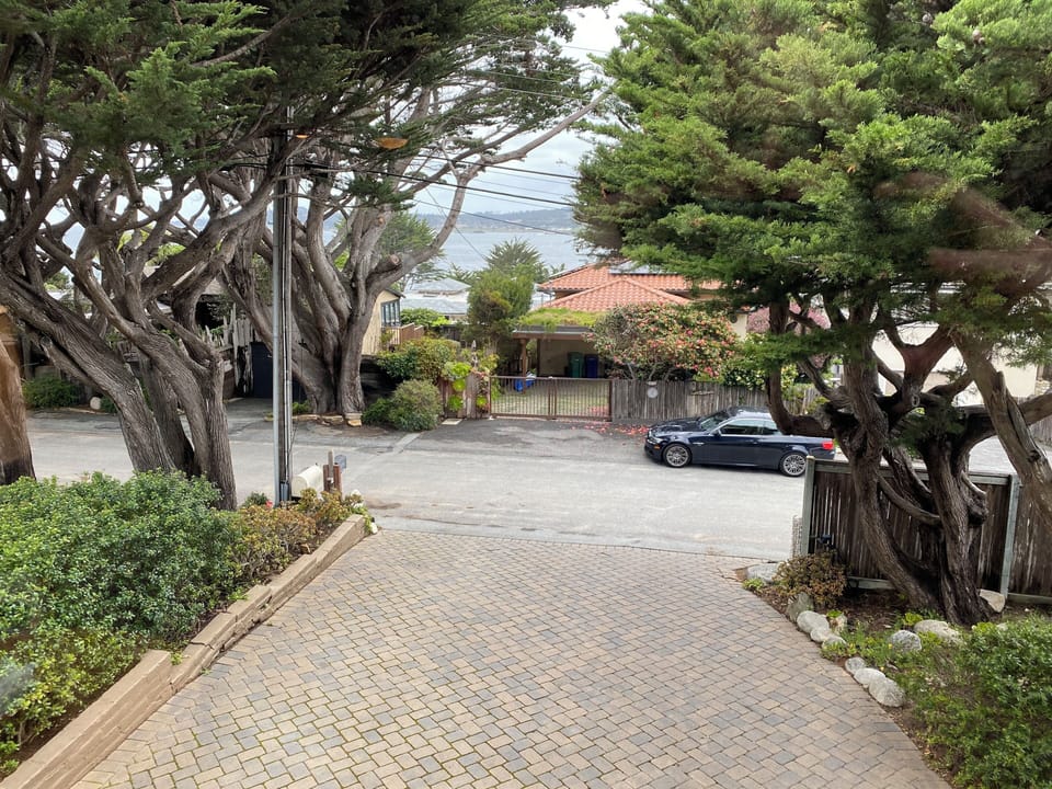 Distant Ocean View