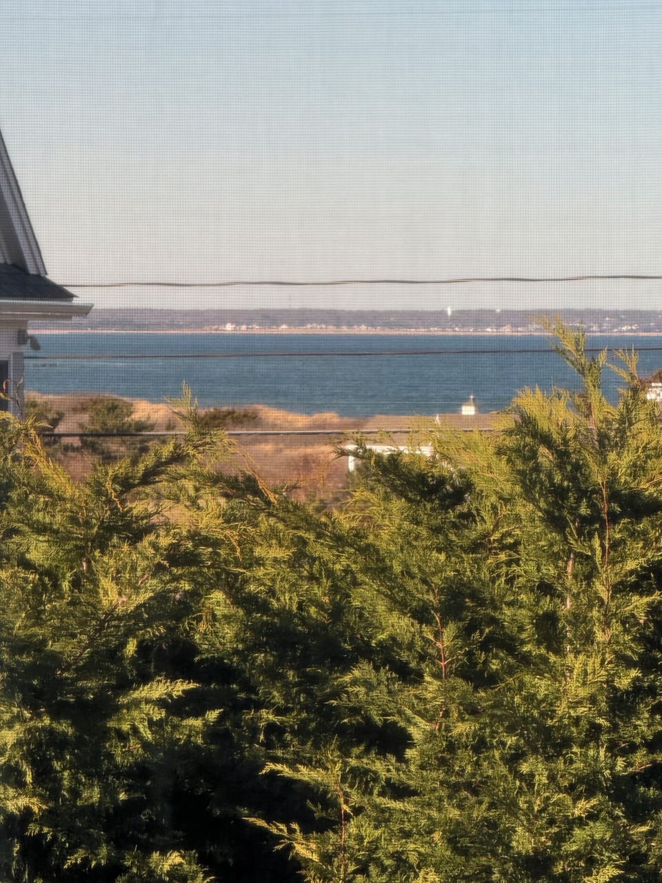 Scenic seaside setting with lush evergreen trees and ocean views creating a peaceful natural backdrop.