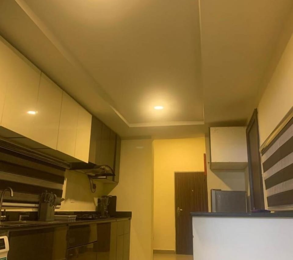Economy Apartment, Balcony, City View | Private kitchen | Fridge, microwave, oven, stovetop