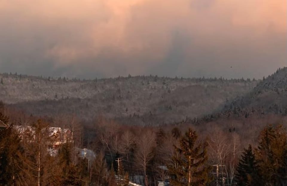 Lush mountains ready for exploring!